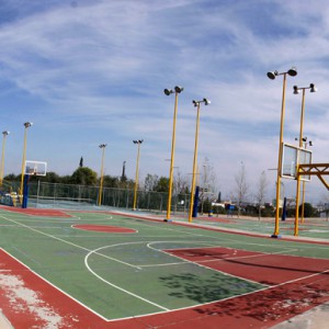 Canchas de Voleibol y Baloncesto.