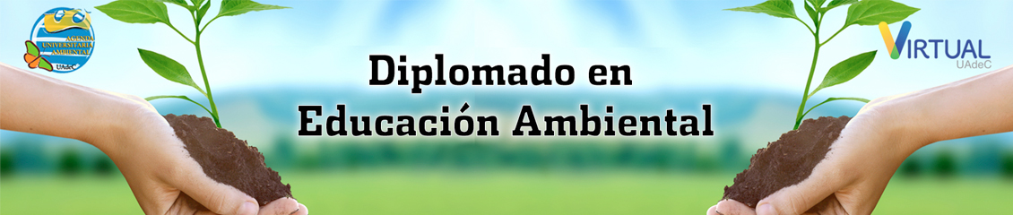 DiplomadoAmbiental