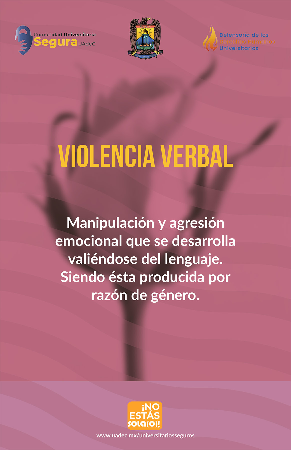 14. Violencia