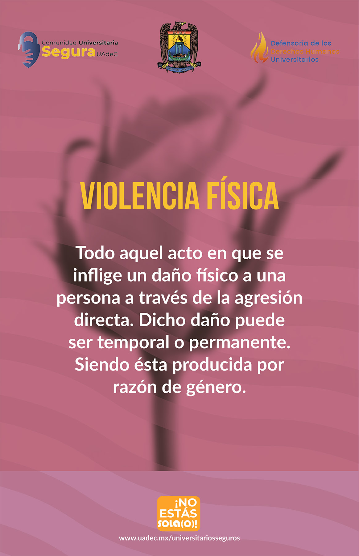 17. Violencia