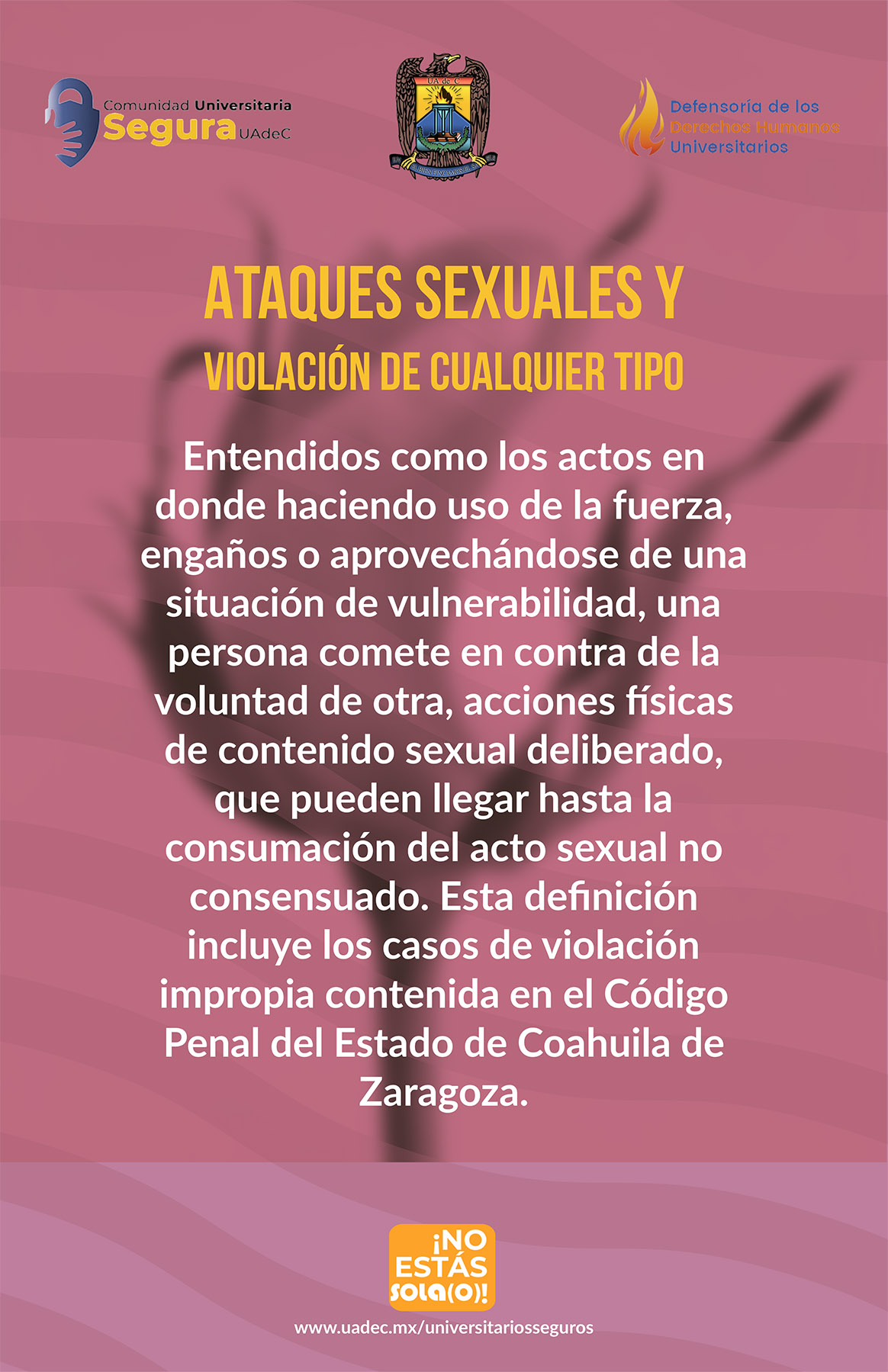 18. Ataques sexuales