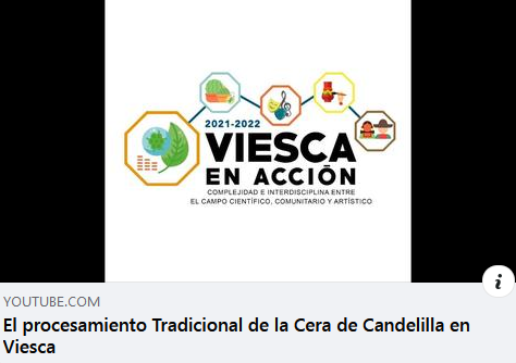 6 septiembre 2022