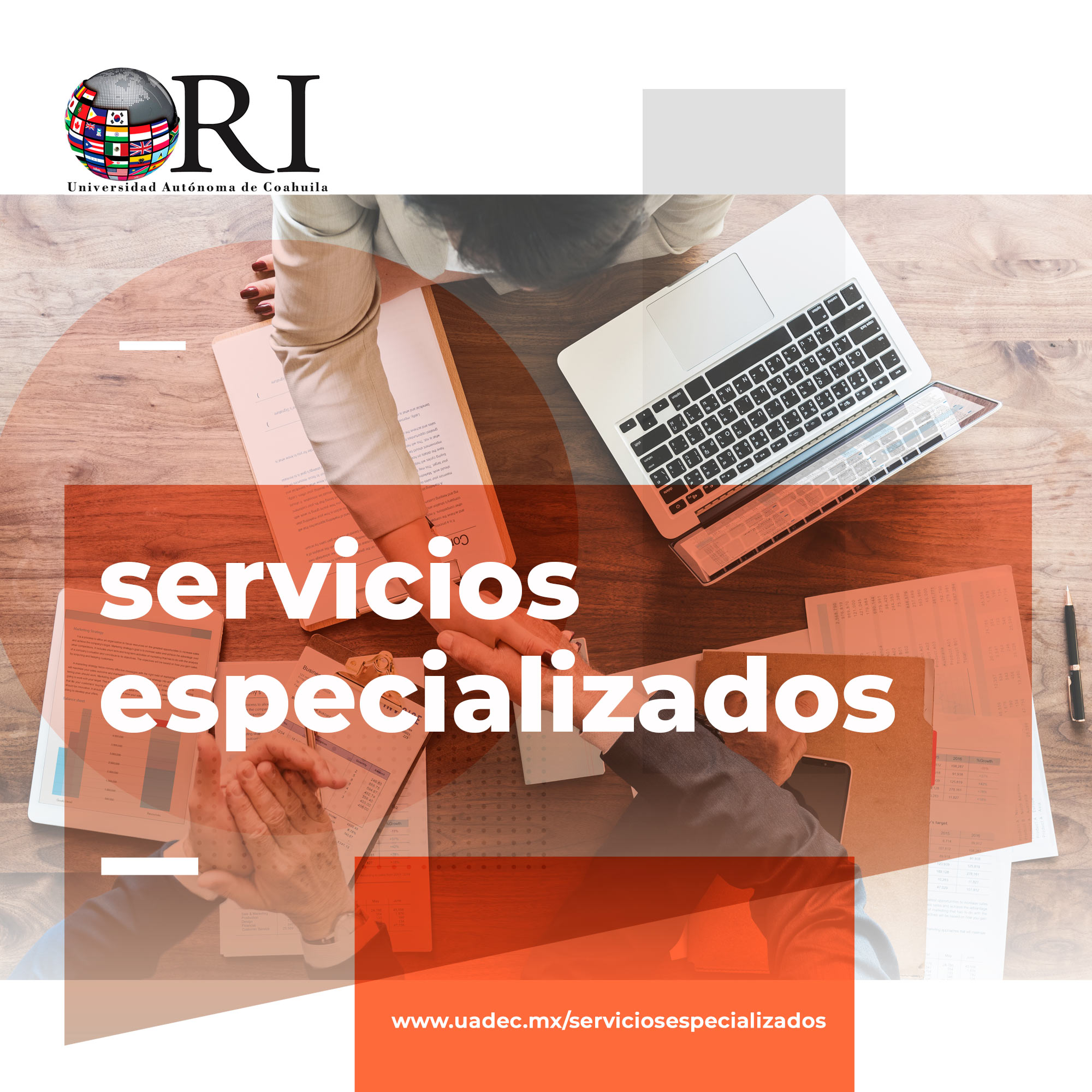 8ServiciosEspecializados