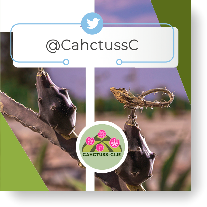 Twitter @CahctussC